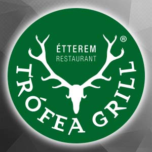 budapest nyomtatás képek